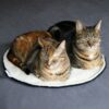 D&D CAT - MAEVE Tæppe Ø50 cm. Sort/Beige - Billede 2