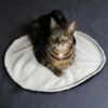 D&D CAT - MAEVE Tæppe Ø50 cm. Sort/Beige