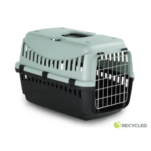 Transportkasse GISPY L 58x38x38 cm