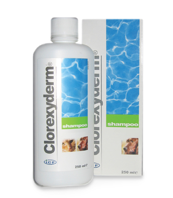 Clorexyderm Shampoo 4% 250 ml. - Dyrenes Outdoor &