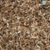Nordic Pilebark - Billede 2