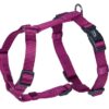 Nobby Classic H-sele XS-S - Image 2