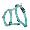 Nobby Classic H-sele XS-S