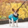 Trixie Pontis hundejakke med sele str. 27 cm grå - Billede 2