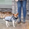 Trixie Pontis hundejakke med sele str. 27 cm grå - Billede 3