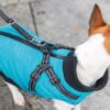 Trixie Pontis hundejakke med sele str. 27 cm grå - Billede 4