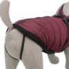Trixie hundejakke med sele Pirou - Billede 3