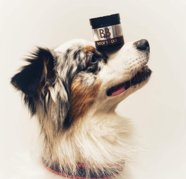 B & B Sølvsalve 60 ml
