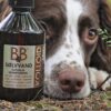 B&B Sølvvand - 250ml.