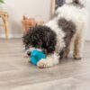 Trixie snack-spinner i gummi - Billede 2