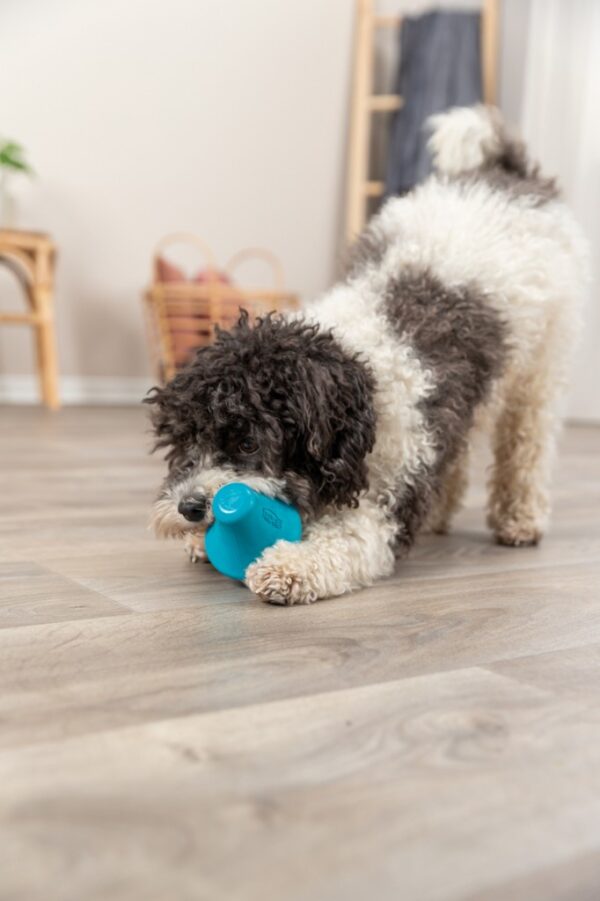 Trixie Snack Spinner 12 cm - Image 2