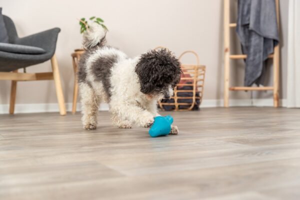 Trixie Snack Spinner 12 cm