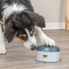 Trixie Dog Activity Buzzer, plast